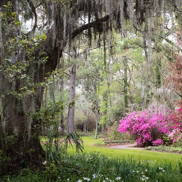 charleston-destination-management-square-04 image ajax