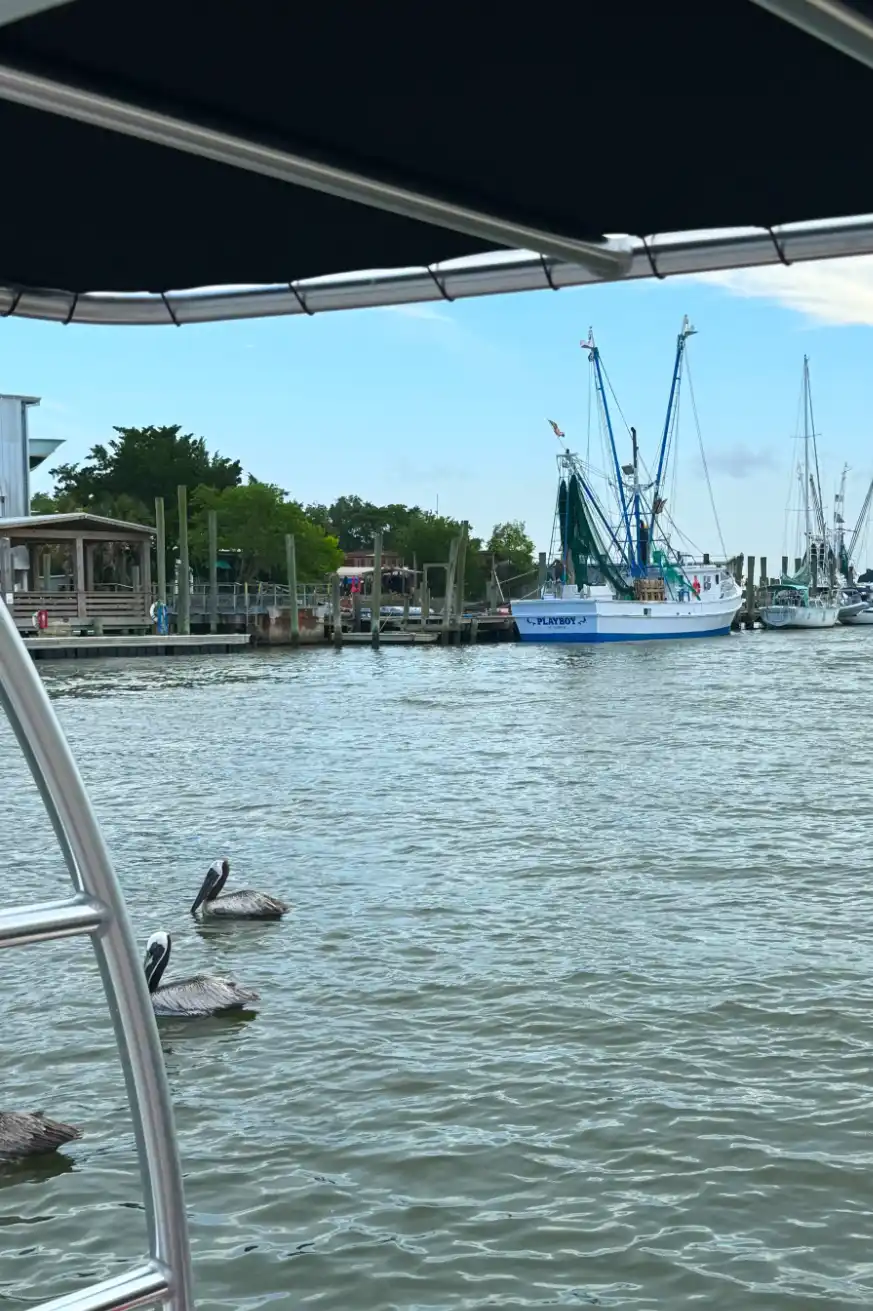 Charleston Boat Charters 02