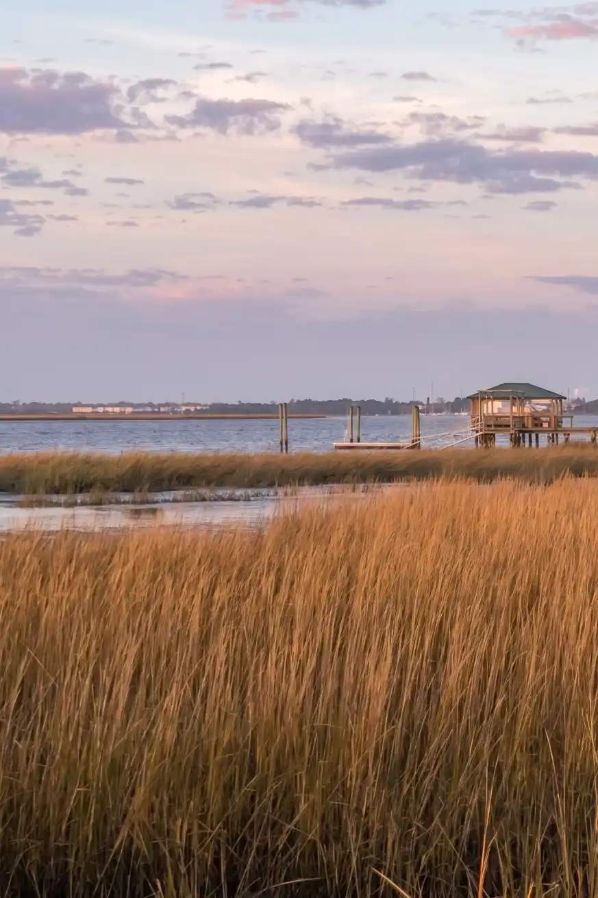 Charleston Eco Tours 04