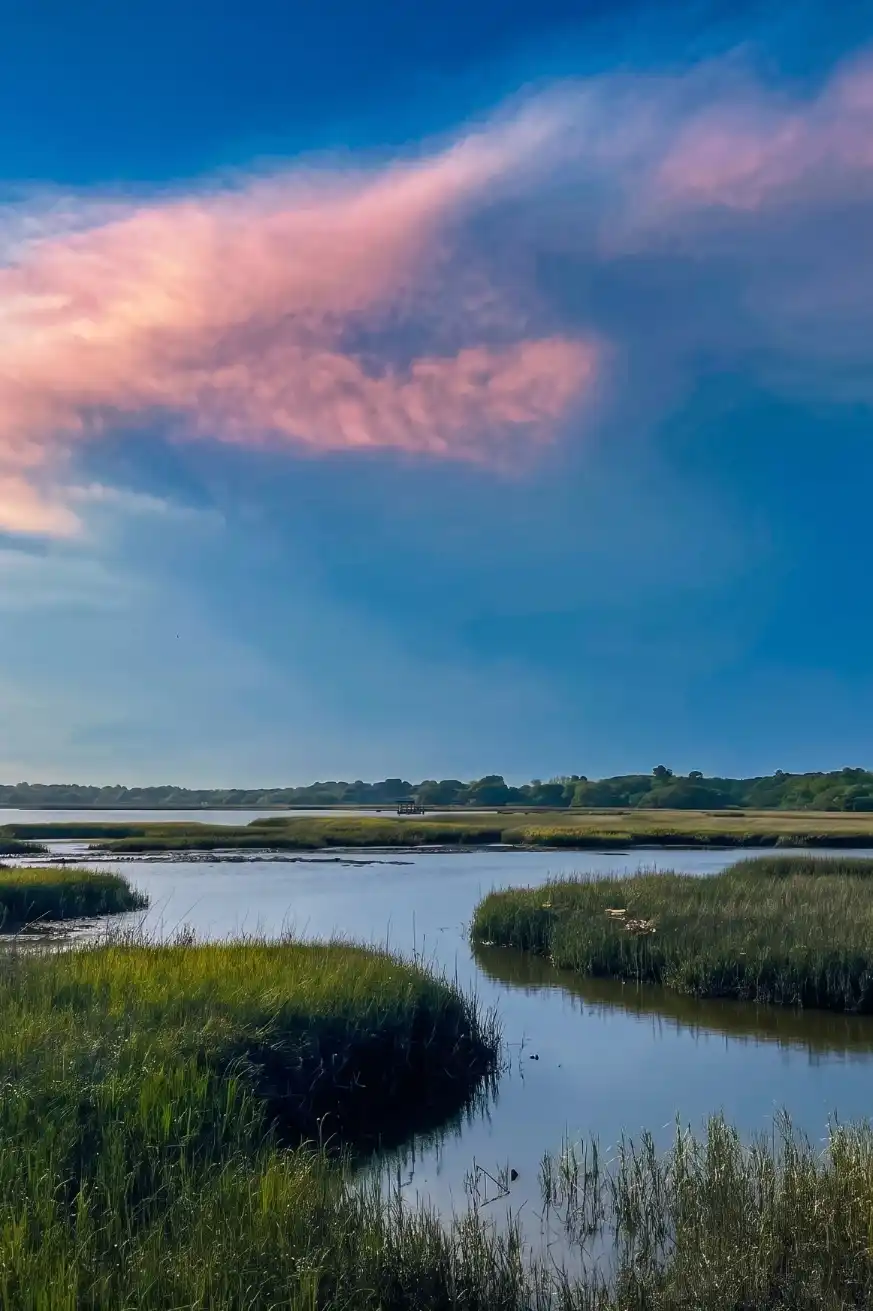Charleston Eco Tours 05