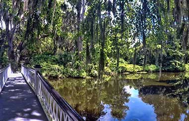 charleston-plantation-tours-04