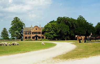 charleston-plantation-tours-09