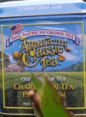 Charleston Wine and Tea Tour