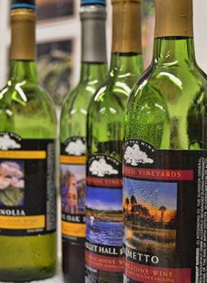 Charleston Wine and Tea Tour