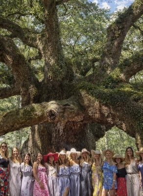 Charleston Wine and Tea Tour