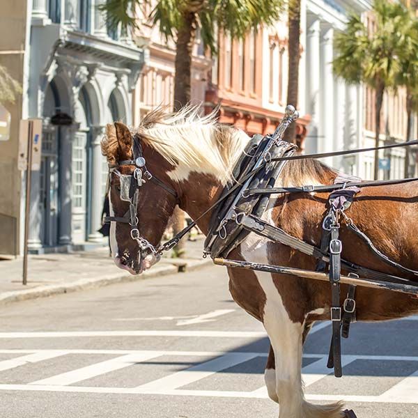 2f0d1d31 image 2f0d1d31