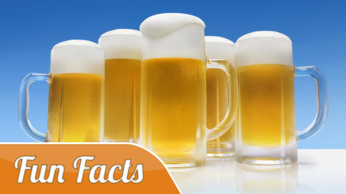 funfacts-fdadd6eb image Charleston Beer