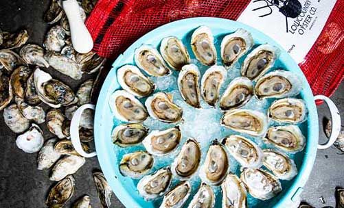 chicken-and-oyster-tour-049a432e Charleston Food Tours | Crafted Travel