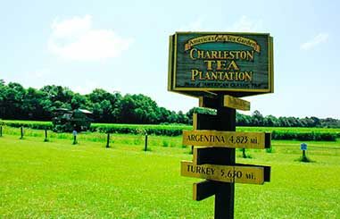 charleston-winery-tour-07-a369627e Wine Tasting Tours in Charleston | Crafted Travel